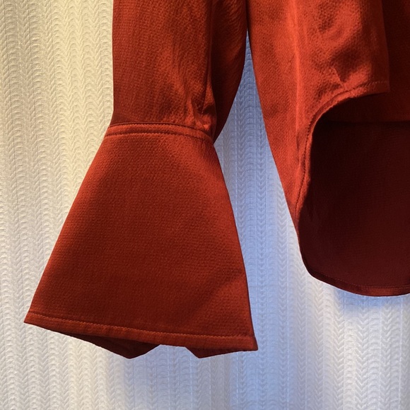 Paige Toscani Silk Blouse - Picture 5 of 6